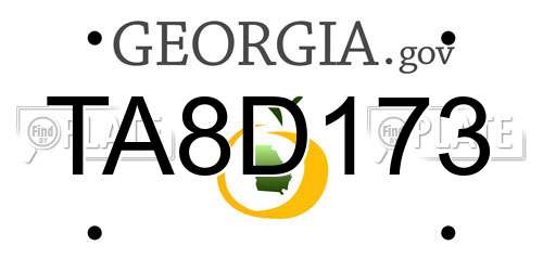 TA8D173 Georgia License Plate