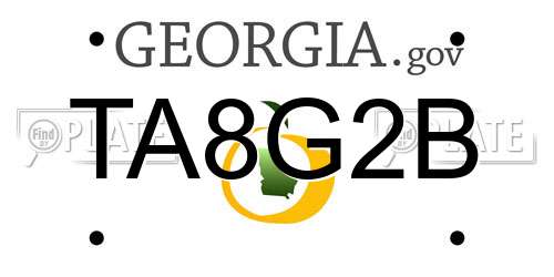 TA8G2B Georgia License Plate