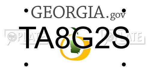 TA8G2S Georgia License Plate