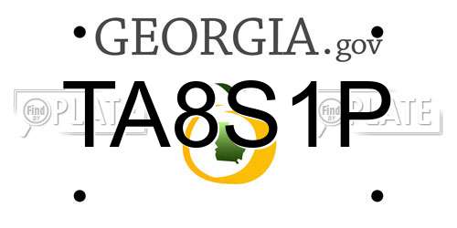 TA8S1P Georgia License Plate