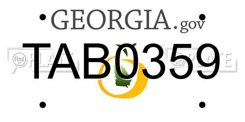 TAB0359 Georgia License Plate