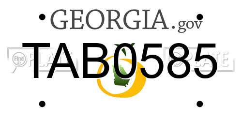 TAB0585 Georgia License Plate