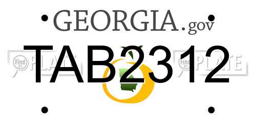 TAB2312 Georgia License Plate