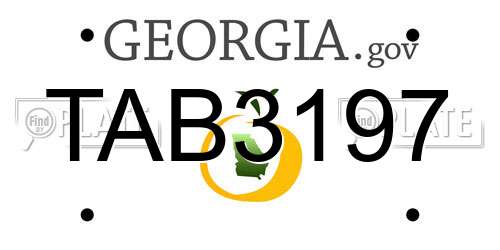 TAB3197 Georgia License Plate