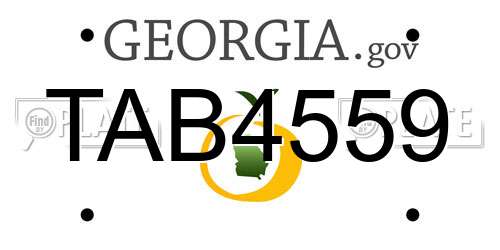 TAB4559 Georgia License Plate