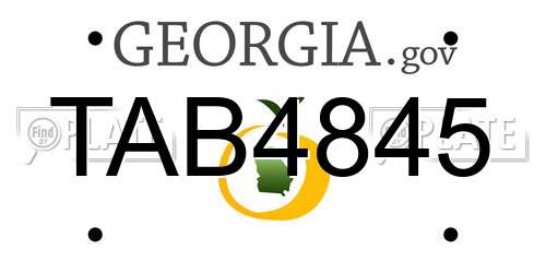 TAB4845 Georgia License Plate