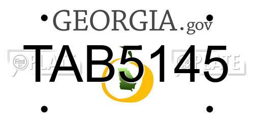 TAB5145 Georgia License Plate