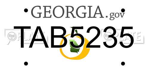 TAB5235 Georgia License Plate