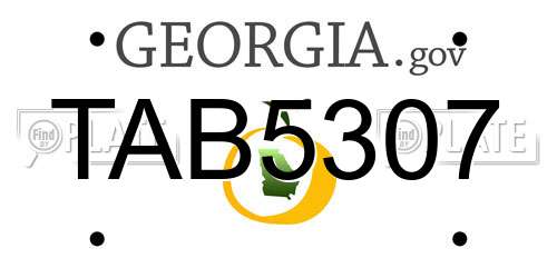 TAB5307 Georgia License Plate