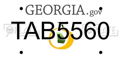 TAB5560 Georgia License Plate