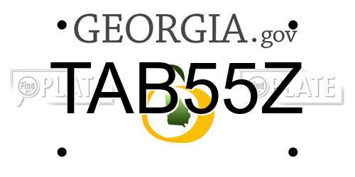 TAB55Z Georgia License Plate