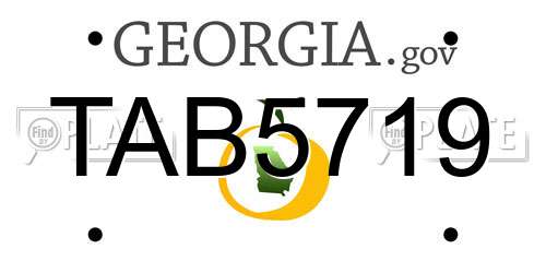 TAB5719 Georgia License Plate