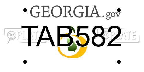 TAB582 Georgia License Plate