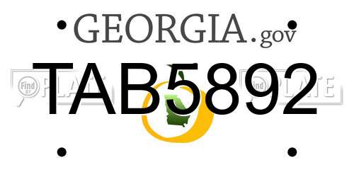 TAB5892 Georgia License Plate