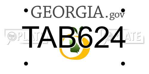 TAB624 Georgia License Plate
