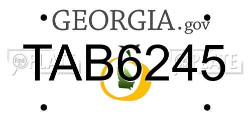 TAB6245 Georgia License Plate