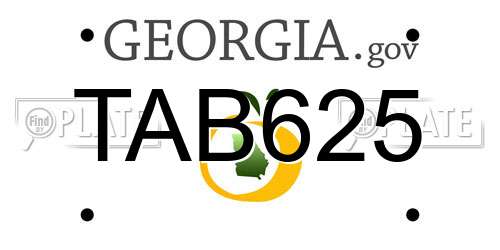TAB625 Georgia License Plate