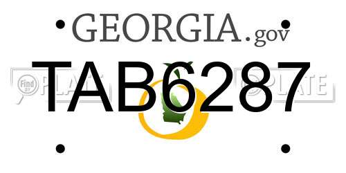 TAB6287 Georgia License Plate