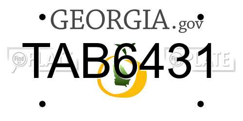 TAB6431 Georgia License Plate