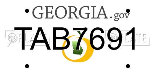 TAB7691 Georgia License Plate