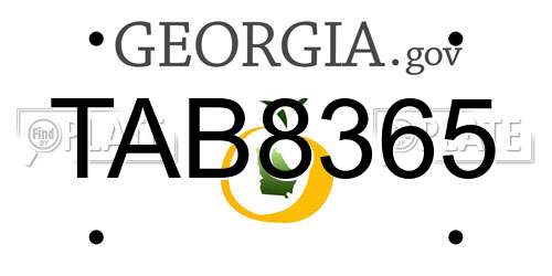 TAB8365 Georgia License Plate