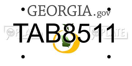 TAB8511 Georgia License Plate