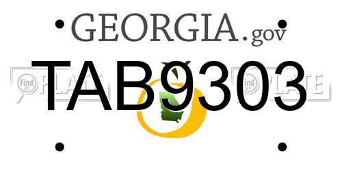 TAB9303 Georgia License Plate
