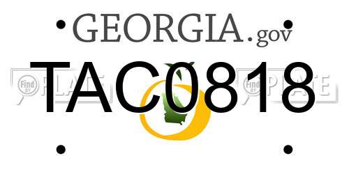 TAC0818 Georgia License Plate