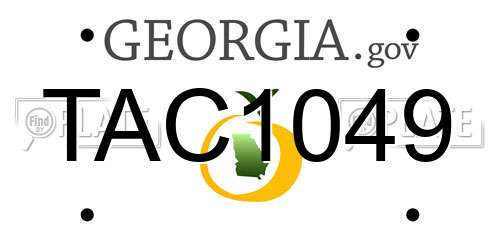 TAC1049 Georgia License Plate