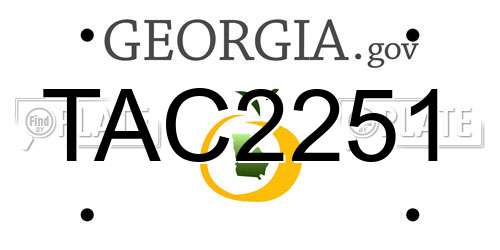 TAC2251 Georgia License Plate