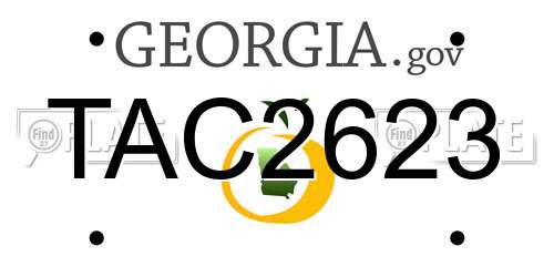 TAC2623 Georgia License Plate