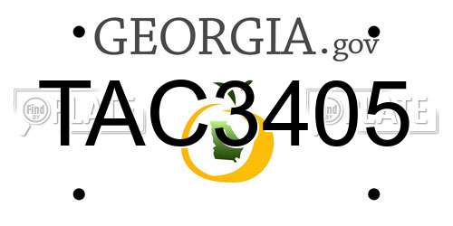 TAC3405 Georgia License Plate