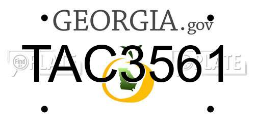 TAC3561 Georgia License Plate