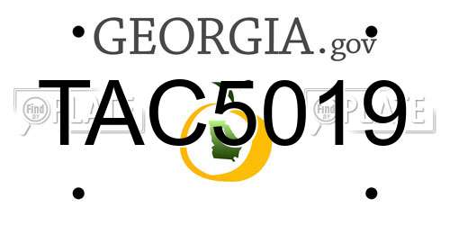 TAC5019 Georgia License Plate