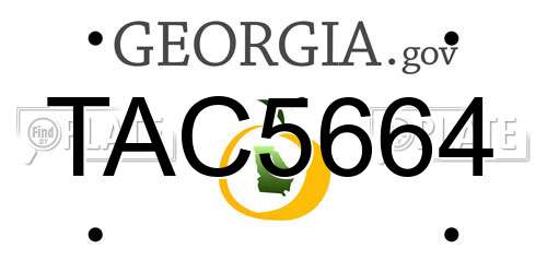 TAC5664 Georgia License Plate