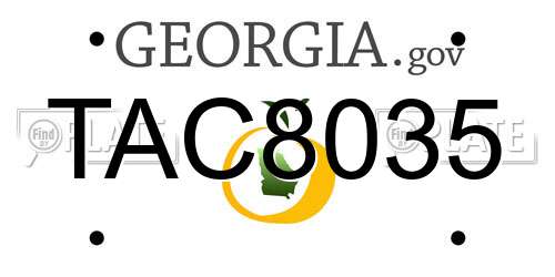 TAC8035 Georgia License Plate