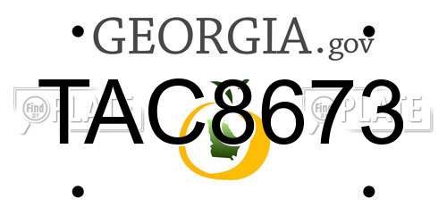 TAC8673 Georgia License Plate