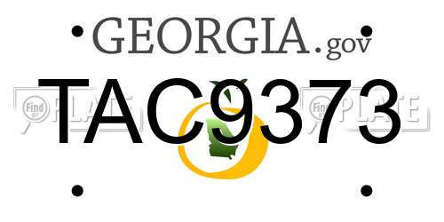 TAC9373 Georgia License Plate