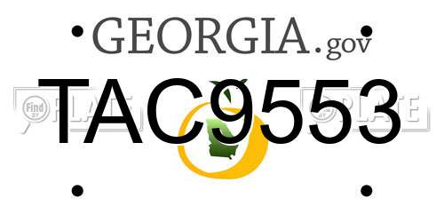 TAC9553 Georgia License Plate