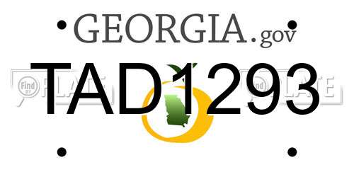 TAD1293 Georgia License Plate