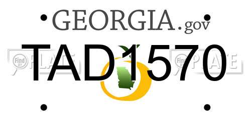 TAD1570 Georgia License Plate