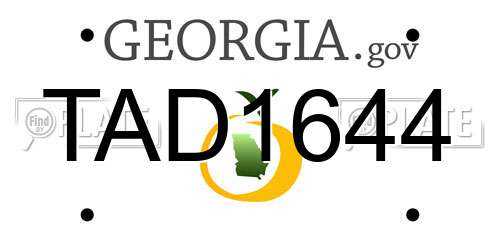 TAD1644 Georgia License Plate