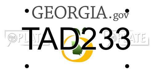 TAD233 Georgia License Plate