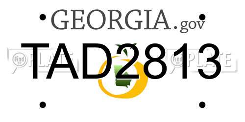 TAD2813 Georgia License Plate