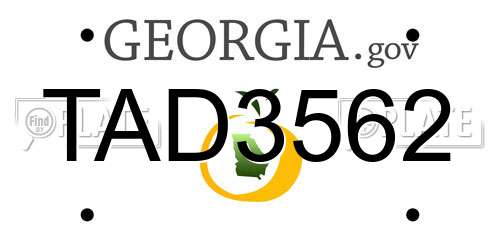 TAD3562 Georgia License Plate