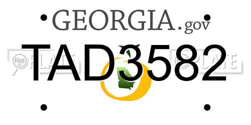 TAD3582 Georgia License Plate