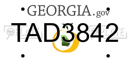 TAD3842 Georgia License Plate