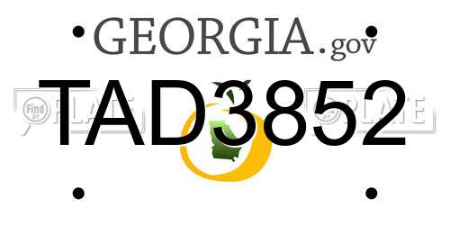 TAD3852 Georgia License Plate