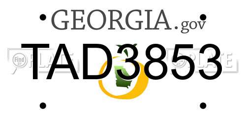 TAD3853 Georgia License Plate
