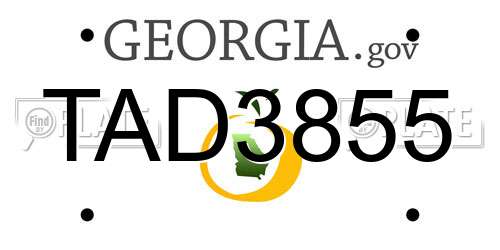 TAD3855 Georgia License Plate